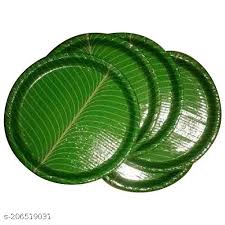 Disposable Plates